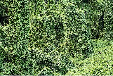 多人战术太空射击游戏《边境》计划3月推出