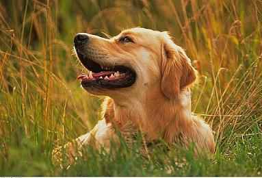 《死亡搁浅2》最终预告片制作完成 小岛秀夫举办观影派对